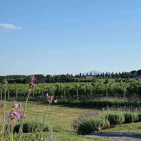 Charming 10 Pax In With Private Pool Cortona